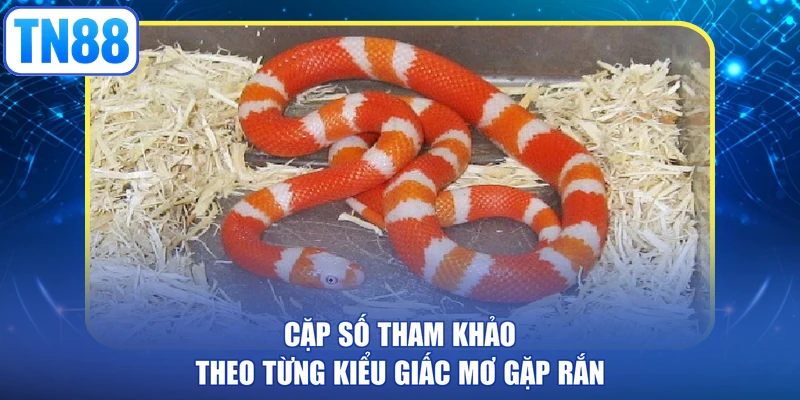 Cặp số tham khảo theo từng kiểu giấc mơ gặp rắn