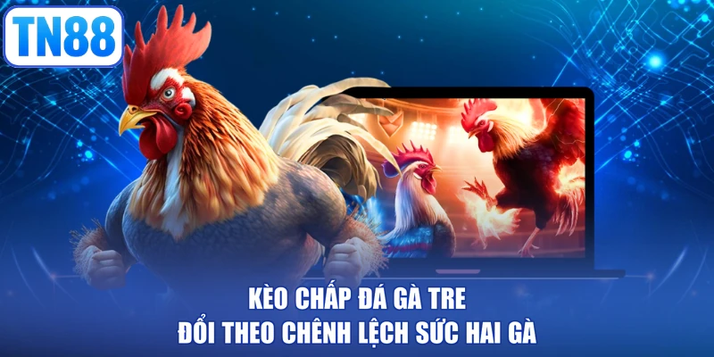Kèo chấp đá gà tre đổi theo chênh lệch sức hai gà